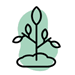icon of seedling
