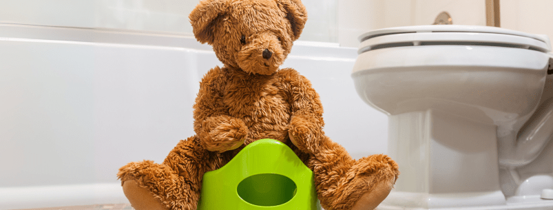 Photo of a brown teddy bear sitting on a green potty set up next to a toilet