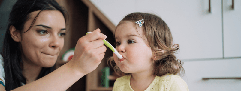 woman feeding a toddler with a spoon