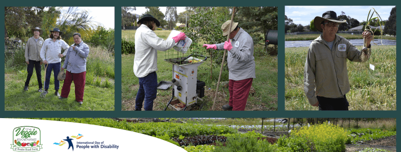 photos of gardeners at the veggie patch