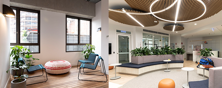 Images from the inside of Frontyard