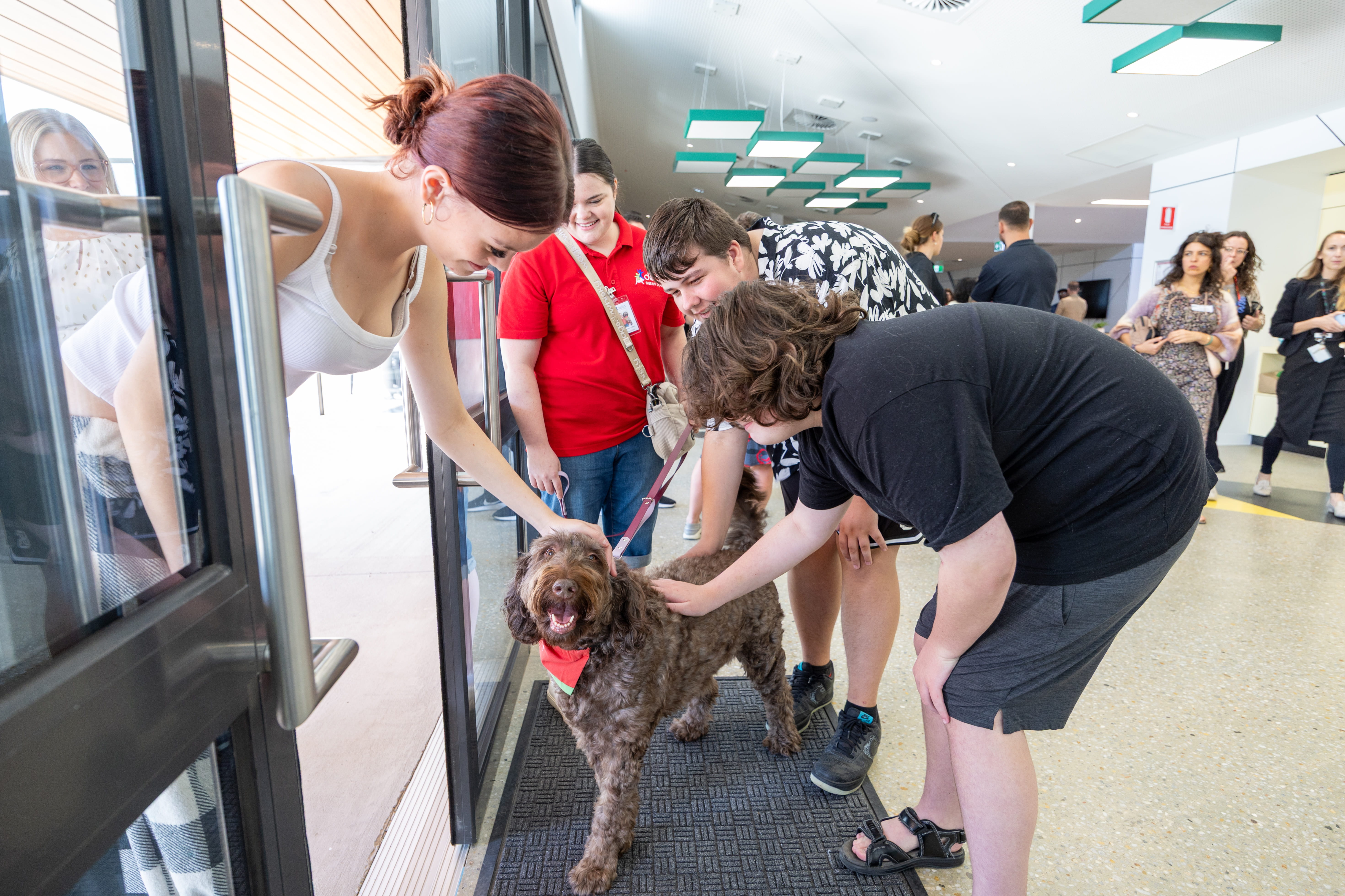 students and therapy dog in werribee 